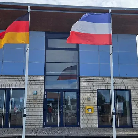 Lachmoewe * Heringsdorf (Ostholstein)